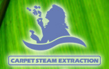 carpet cleaning St. Leonards-on-Sea East Sussex